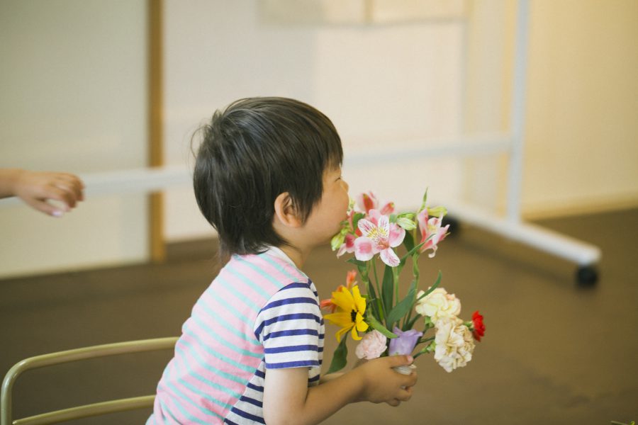 トビラコ　切り花でたのしい療育　小さな花畑　